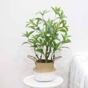 Table Décorative 50cm Vert Soie Artificielle Bonsaï Arbres Plante D'intérieur avec <span class=keywords><strong>Pot</strong></span> De 12cm pour La Décoration Intérieure - Product Image 2