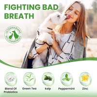 Dentifrice OEM/ODM au thé vert et à la menthe pour chiens, anti-tartre et anti-plaque, enrichi en complexe de zinc et algues marines, pour blanchir et éclaircir la surface des dents canine.