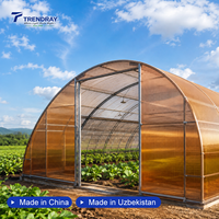 Panneau de toiture en polycarbonate alvéolaire à motif étoilé, isolé thermiquement et personnalisé, avec système de fixation rapide, pour serres agricoles