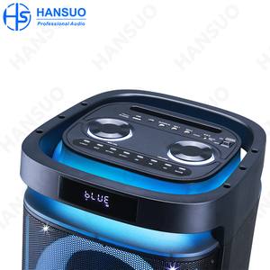 Haut-parleur de fête double 10 pouces Media100W haute puissance HS-TD01035 - Product Image 1