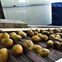 Mango pulp & puree verwerkingslijn met schil-, ontpit- en pulpsysteem - Van vers fruit tot aseptische zakvulling