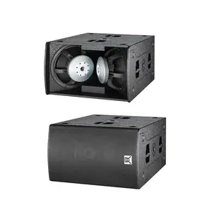 Dual 15 Inch Sub-Bass + Neodymium Subwoofer + Installeren Speaker \ Installeren Speaker Outdoor