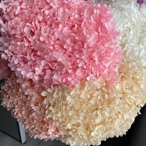 Ortensie Essiccate Naturali all'Ingrosso 55-65cm per Decorazioni da Tavolo Casa/Matrimonio Capodanno Cinese Fiori Decorativi - Product Image 2