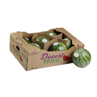 Vente en gros de haute qualité ciré carton ondulé bac à papier carton pastèque fruits emballage boîte de produits