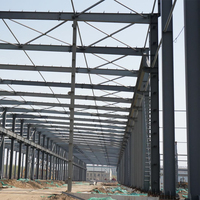Fabricante Chino de Almacenes Prefabricados de Estructura de Acero Ligera y Profesional, Edificio Prefabricado de Acero