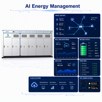 Batería de Almacenamiento de Energía LFP de 1MWh/1.6MWh/2MWh, Precio de Fábrica, Sistema de Energía Solar Renovable en Contenedor Refrigerado por Líquido de 10 pies para Exteriores