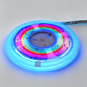 Bande LED RGBCW 24V en gros, IP20 IP67, PCB 12mm, Flexible, pour Façade de Bâtiment Commercial et Scène/Club - Product Image 3