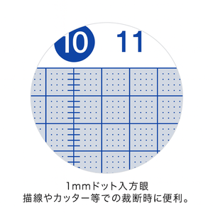 ไม้บรรทัดอะลูมิเนียมตรง 30 ซม. สำหรับโรงเรียนญี่ปุ่น ใช้ในสำนักงาน ใช้เรียนทุกวัน พร้อมโลโก้ - Product Image 2