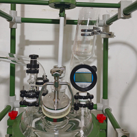 Reactor de Vidrio de Doble Pared Resistente a la Corrosión de 100L para Reacciones de Esterificación y Condensación