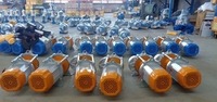 Meilleur prix Treuil électrique à câble métallique 30m 60m 100m 500kg 600kg 750kg 1000kg 220V 50HZ 1P 2P 3P Mini Petit Treuil électrique à câble métallique