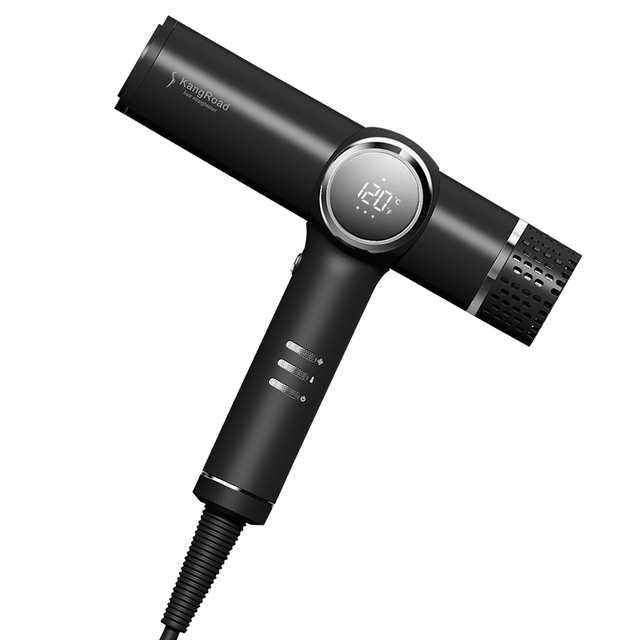 Factory Wholesale Private Label Professional Salon BLDC Motor Powerful Airflow Fast Drying Hair Blow Dryer with Ionic Technology