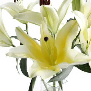 युन्नान थोक ताजा कटौती के फूल प्राकृतिक रियल टच लिलियम पीला लिली शादी की सजावट के लिए
