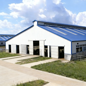 โรงเรือนโครงสร้างเหล็กสำเร็จรูปสำหรับฟาร์มเพาะพันธุ์ปศุสัตว์ - Product Image 6