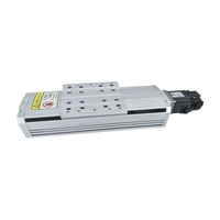 Longyao 6061 Mesa deslizante motorizada de movimiento lineal de aluminio, 2 ejes XY, con rodamientos, guía lineal para máquina CNC