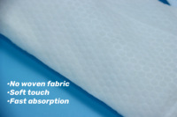 Coussinets de glace périnéaux absorbants post-partum de paquet de maternité de thérapie froide instantanée d'hôpital médical