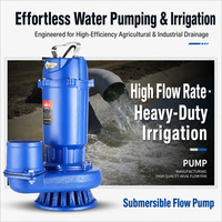 Pompe à eau submersible électrique pour l'irrigation agricole, l'aquaculture, les étangs à poissons, les prises d'eau de rivière et les unités de drainage