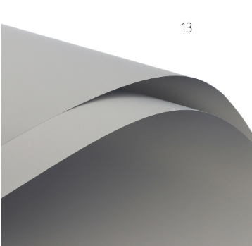 13 Gris élégant