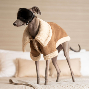 Chaqueta de perro de lujo personalizada Qiqu para galgos italianos <span class=keywords><strong>ropa</strong></span> cálida de invierno para mascotas nuevo diseñador estilo clásico hecho de poliéster - Product Image 1
