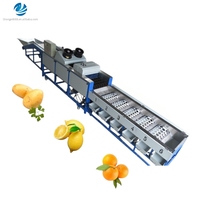 Machine de tri et de calibrage pour tomates, oignons, oranges, pommes de terre, avocats, dattes et fruits, avec capacité de tri et de calibrage