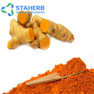 مسحوق الزنجبيل الأصفر من Curcumin Curcuma Longa Rhizoma Rhizoma Longae Longae - Product Image 4