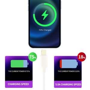 Câble de charge rapide Type-C <span class=keywords><strong>SD</strong></span>-259 5A pour <span class=keywords><strong>iPhone</strong></span> 14/13/12 Pro Max/XS/XR et ordinateur, câble de données USB 1m - Product Image 2
