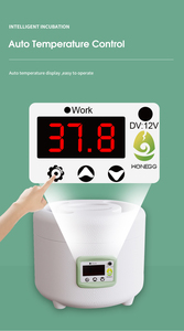 WONEGG Elément chauffant Love Birds 12V DFB 9 Incubateur Qual Egg Hatching pour caille - Product Image 3