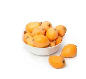 Factory supply fresh Loquat fruit extract Loquat fruit juice powder with Good price