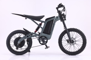 Bicicleta Eléctrica Cruiser Vintage de 20 Pulgadas con Doble Batería de 48v, Frenos de Disco y Neumáticos Anchos, Nueva en Venta - Product Image 2