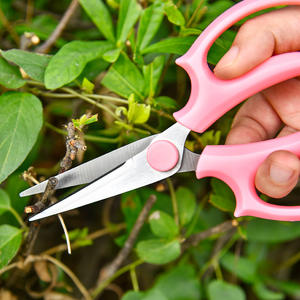 กรรไกรตัดดอกไม้ สแตนเลสสตีล เครื่องมือตัดแต่งสวน ด้ามจับพลาสติกทนสนิม ดีไซน์เรียบง่าย สำหรับบอนไซและการจัดดอกไม้ - Product Image 1
