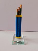 JHS Kupferleiter Tauchpumpenkabel Flexibles Gummimantellkabel für Industrielle Wasserversorgung Tiefbrunnen-Nutzung 450/750V 10A 2*2,5mm