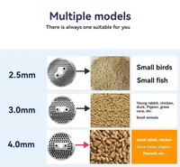 Nouvelle machine à granulés pour aliments domestiques, granulateur double usage sec-humide pour fermes, haute productivité, capacité de 200 kg/h, moulin à granulés