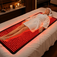 APTREDLIGHT MINI Tapis de luminothérapie LED pleine longueur 660 850nm infrarouge pour soulager les douleurs corporelles