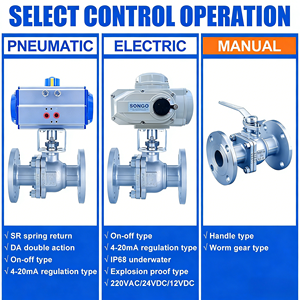 Válvula de Bola de Acero Inoxidable de 3/4'' de 2 Vías, Operada Neumáticamente, con Brida ANSI 150LB / DIN PN16 / JIS 10K, con Medidor de Flujo, Fácil Mantenimiento - Product Image 2