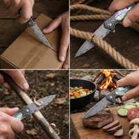 Couteau de poche tactique pliant Damas, couteau de chasse EDC multifonctionnel, couteau de survie utilitaire pour hommes, outil d'urgence DM017
