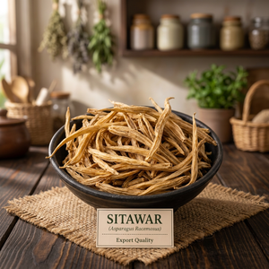 Raíz de Shatavari Premium | Ingrediente Herbal Ayurvédico Natural para Suplementos de Bienestar, Nutracéuticos y Suministro Global a Granel para Exportación - Product Image 2
