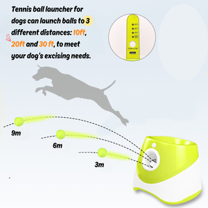 Lanzador de Pelotas Automático para Perros, Juguete de Plástico para Cachorros, Precio de Fábrica, Entrega Rápida, Productos para Mascotas - Product Image 2