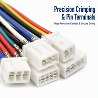 Câble personnalisé XPB JST XH, pas de 1,0, 2,0, 2,54 mm, connecteur 2, 3, 4, 5, 6, 7, 8, 9, 10 broches, mâle/femelle, faisceau de câblage Zh, Ph, XH, Molex, JST