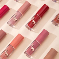 Ensemble de rouge à lèvres liquide mat de 12 pièces de différentes couleurs, Kit multicolore, boîte cadeau antiadhésive, ensemble cadeau pour filles, brillant à lèvres durable