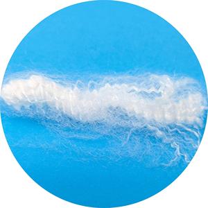 Trinh Nữ rắn nhồi chất liệu polyester STAPLE sợi - Product Image 6