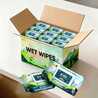 Échantillon Gratuit Fournisseur de Lingettes Humides Personnalisées 100% Biodégradables Écologiques Jetables Non Tissées Biologiques Non Parfumées pour Bébé