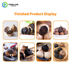 Máquina de Fermentación de Ajo Negro con Pantalla Táctil Completa y Operación en Varios Idiomas - Product Image 5