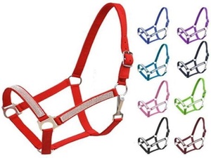 บังเหียนม้าหนังไนลอนแบบปรับได้ พร้อมสายรัดจมูกบุนวมและสายรัดคอแบบสแนป น้ำหนักเบา - Product Image 4