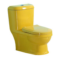 WC monobloc moderne en céramique colorée, à double chasse, à poser au sol, avec cuvette allongée, sanitaires pour la maison et l'école, fabriqué en Chine