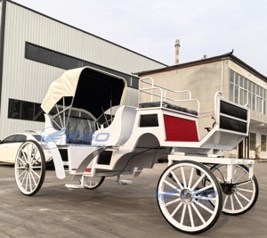 XCEGO Chariots de tourisme européens à chevaux, chariot de transport spécial du Henan - Product Image 2
