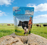 BlueRumen RumiLys - Premezcla de Enzimas y Vitaminas con L-lisina Específica para Ruminantes, Aditivo para Alimento, Shandong, para Ganado Vacuno y Ovino, Estimula el Crecimiento y la Salud