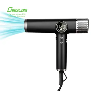 Wholesale 1800W Professional High Speed Hair Dryer Lcd Display Hair Blow Dryer With Diffuser And Concentrator