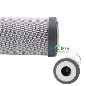 Grote Blauwe/Slim Kokosnoot Carbon/Kolen Carbon Cto Filter Cartridge Voor Water Behandeling