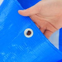 Bâche imperméable robuste transparente bleue et blanche en PE anti-âge isolante avec œillets