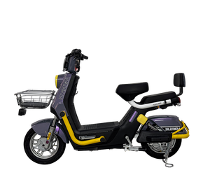 ชุดอุปกรณ์จักรยาน มอเตอร์กลาง 1000W จักรยานไฟฟ้า ราคาจีน พร้อมอะไหล่ระยะไกล สำหรับผู้ใหญ่ คลังสินค้า EU ขายส่งจักรยานไฟฟ้า - Product Image 1