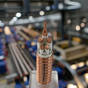 Jdh ปลอกทองแดงสายไฟทนไฟยืดหยุ่น bttrz 3x70 + 2x35 1kV ฉนวนพีวีซีกันไฟที่อุณหภูมิสูงกันควันไฟต่ำ - Product Image 1